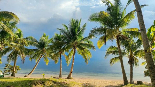 Options de Location de Voitures pour Professionnels : Astuces Économiques à Ne Pas Manquer